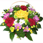 Fresh And Vibrant