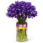 Grand Iris Arrangement