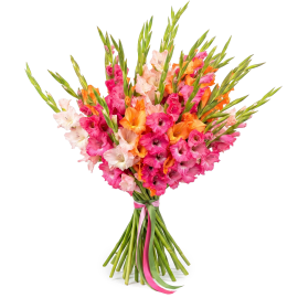 Gladiolus Sunrise Bouquet