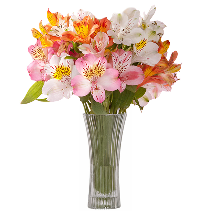 Send Flowers to Moscow Gift and Flower delivery in Russia